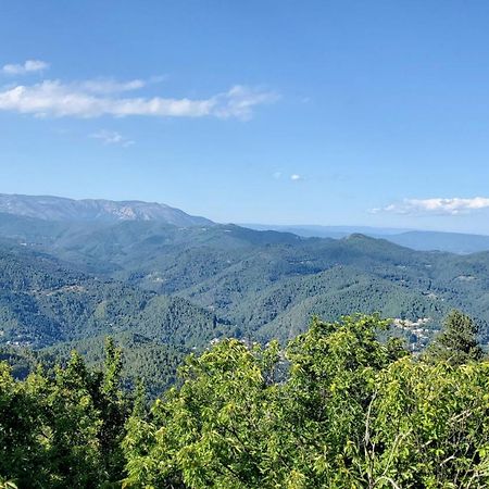 Gite De Combelebouze En Cevennes - Cosy, Confort Et Climatise - 3 Etoiles Saint-Privat-de-Vallongue Экстерьер фото