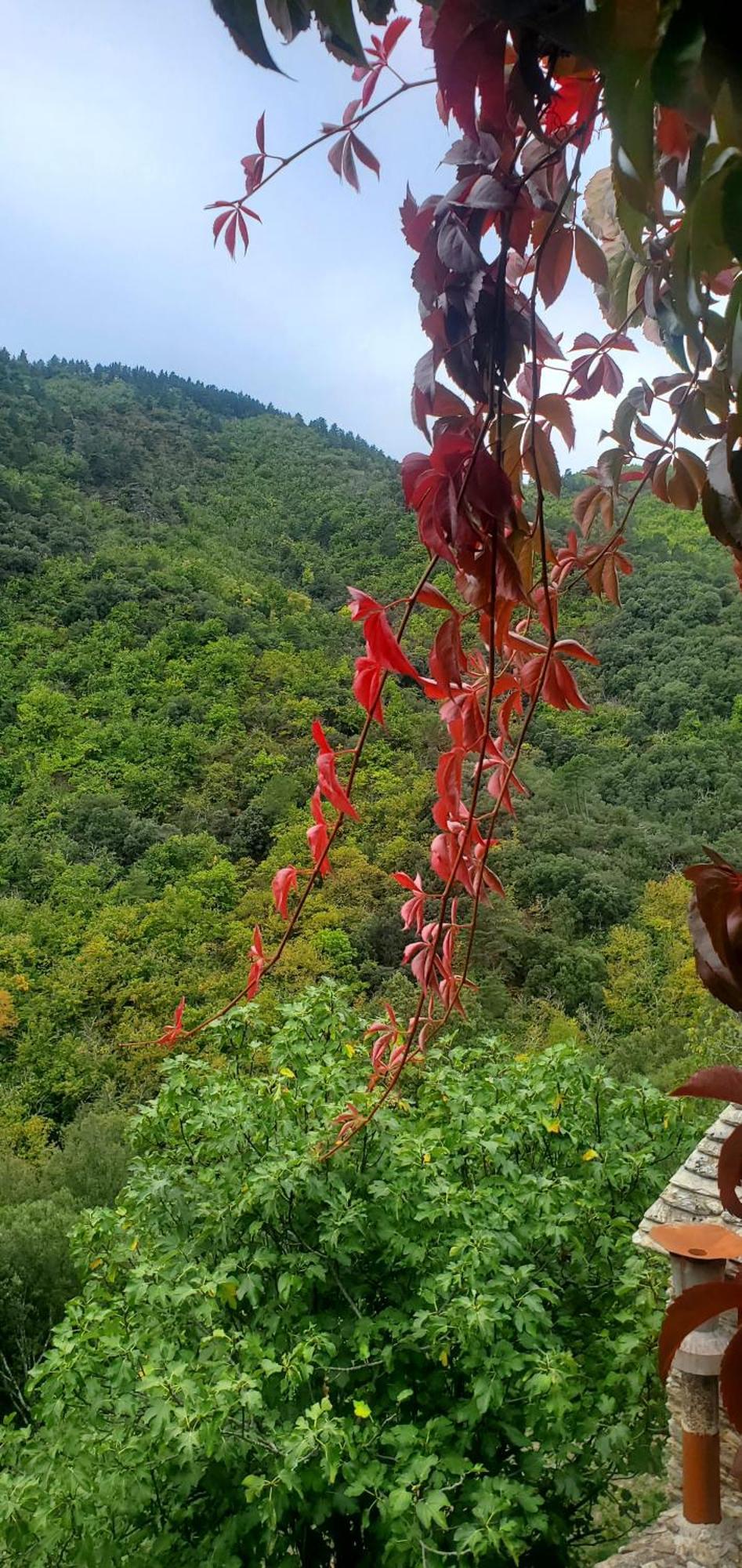 Gite De Combelebouze En Cevennes - Cosy, Confort Et Climatise - 3 Etoiles Saint-Privat-de-Vallongue Экстерьер фото